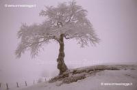 Passo del Cirone 4-5-09